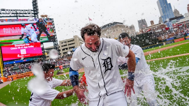 Chicago White Sox v Detroit Tigers 