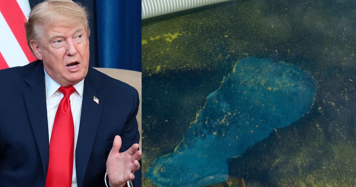 Trump blames alleged vandalism as Reflecting Pool remains green and swamped with issues