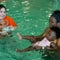 New recommendations to prevent child drownings from American Academy of Pediatrics