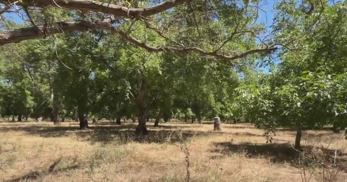 Advocates say California law addressing abandoned farmland not being enforced