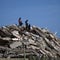 Venezuela quake survivors describe devastation: "Everything collapsed"