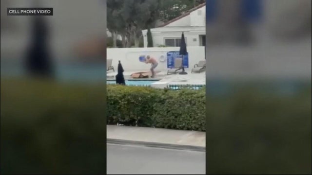 irvine-duckling-cruelty.jpg 