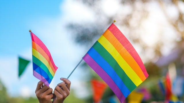 LGBTQ community celebration pride month, close up kid holding LGBTQ flags in the sky with nature background. Embracing the lesbian, gay, bisexual, transgender, and queer community. 