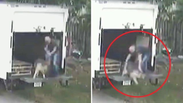 cbsmiami-broward-dog-abuse-1.jpg 