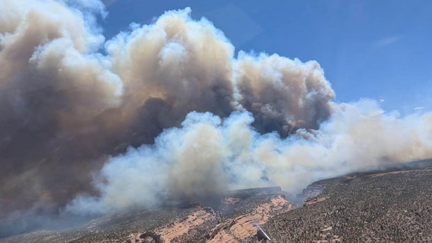 synder-fire-2-u-s-wildland-fire-service.jpg 