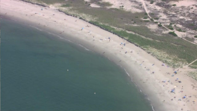 Crane Beach 