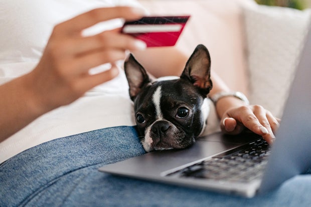 Should you use a credit card to pay for pet care?
