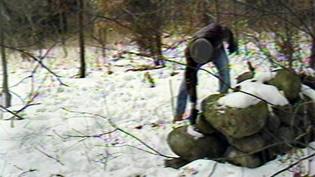 mansfield1985.jpg 