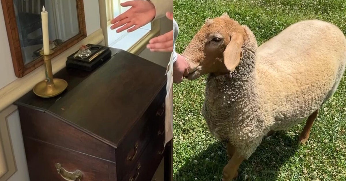 A special desk and sheep tell the story of Harriton House