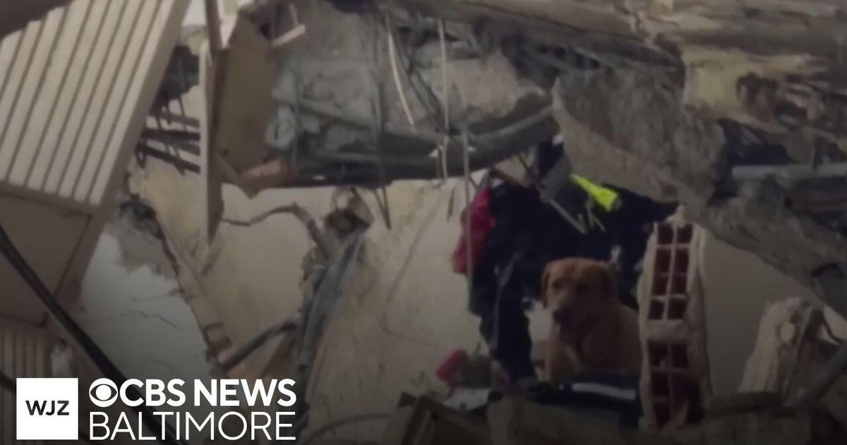 Venezuela earthquake death toll nears 2,000 with tens of thousands still missing