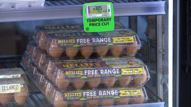 10p-pkg-egg-settlement-wccoasjb.jpg 