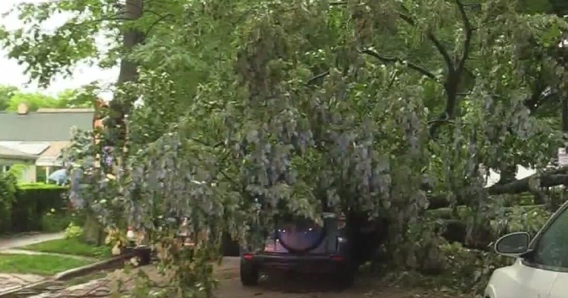 Good Samaritan recounts helping passenger after tree slams onto SUV in Evanston amid strong storms