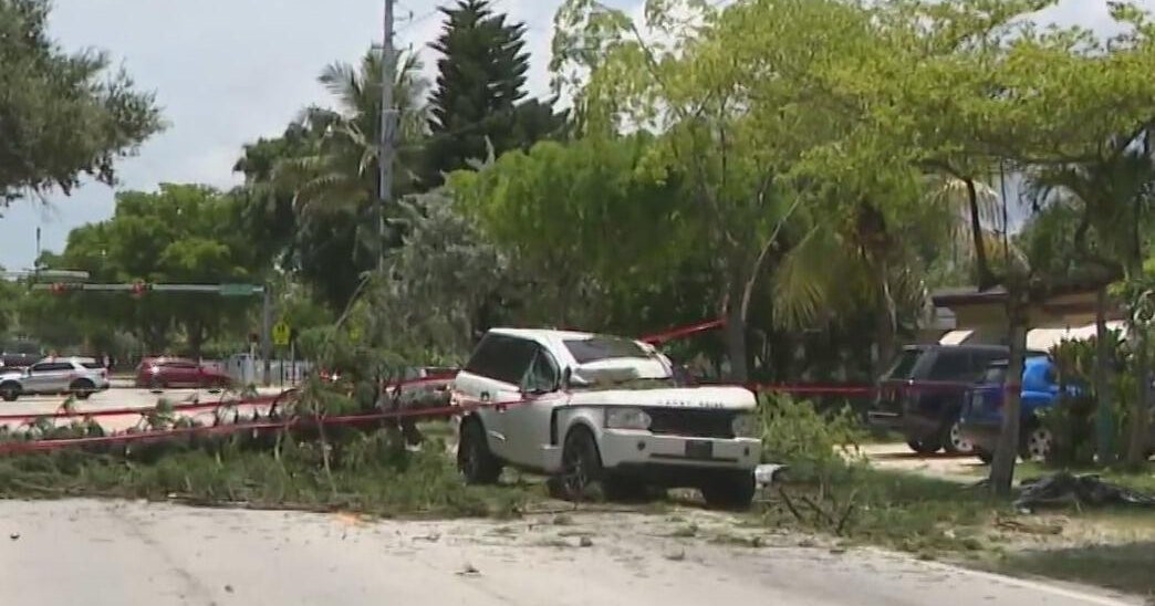 Driver injured when tree falls on SUV after lightning strike in North ...