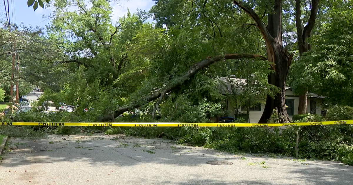 As summer storms hit metro Atlanta, residents brace themselves for damage from fallen trees