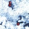 What to know about "explosive" diarrhea-causing parasite reported in several states
