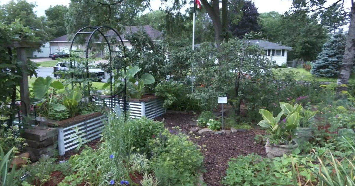 Hennepin County Master Gardener Tour is an opportunity to learn from botanical experts