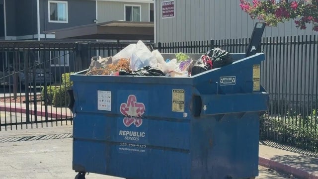 stockton dumpster where dead dog was found 