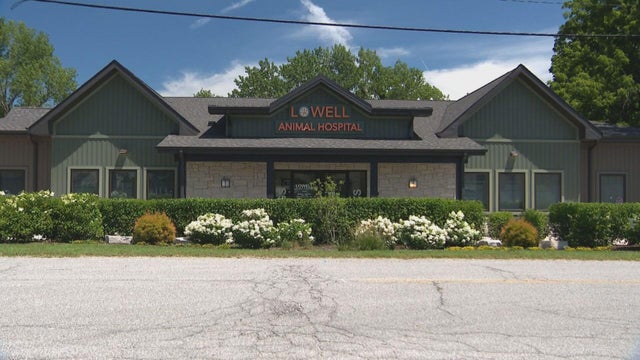 lowell-animal-hospital.jpg 