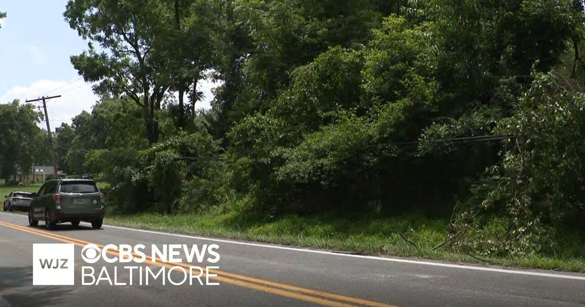 Howard County businesses say BGE needs better vegetation management