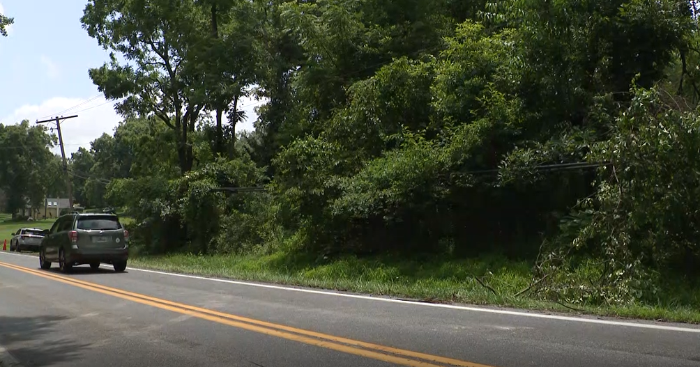 Howard County business owner wants more done with vegetation by power lines