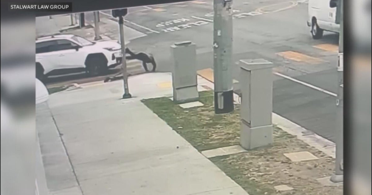 cbsnews.com - Brittney  Ermon - 66-year-old man hospitalized after hit-and-run crash in South LA