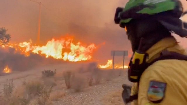 Spain Wildfire 