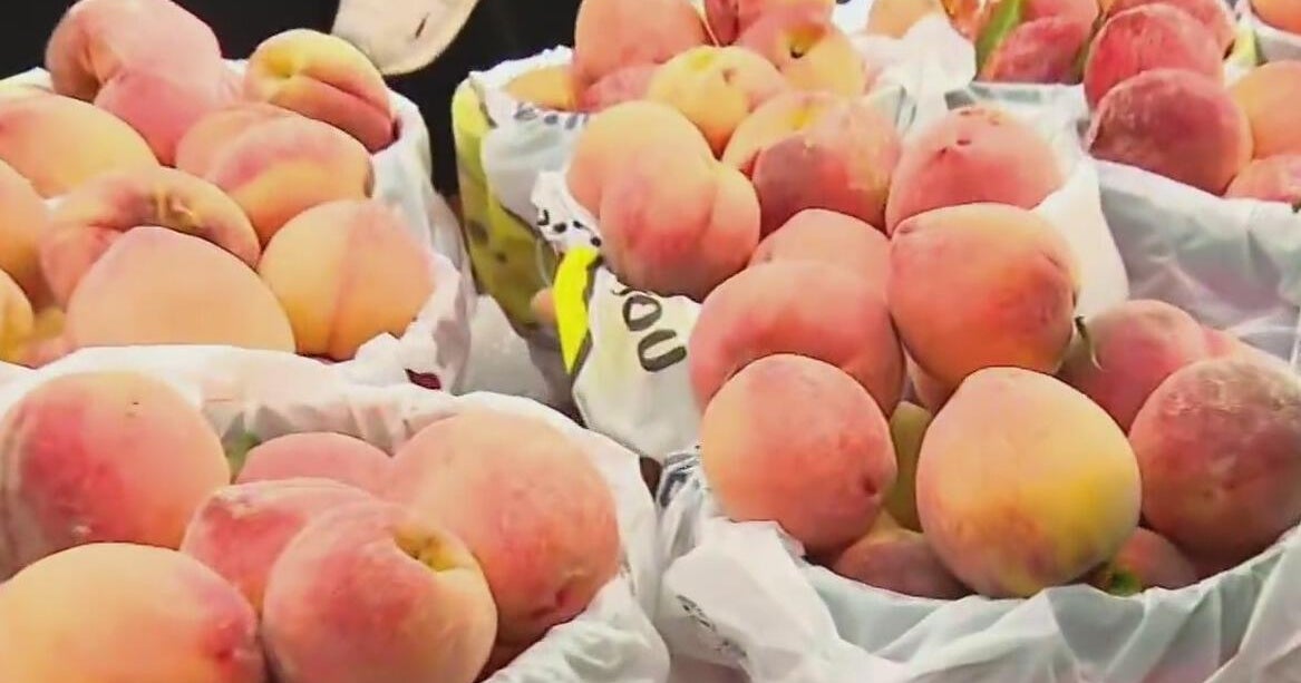 Checking out the Parker County Peach Festival