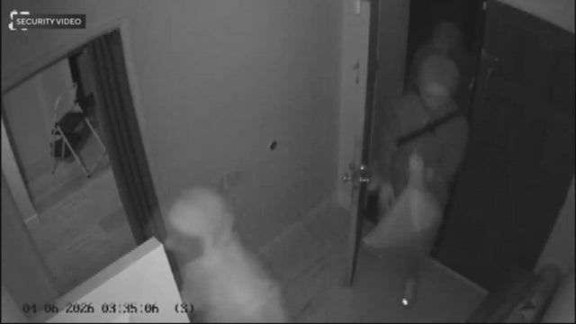 fumigation-burglary.jpg 