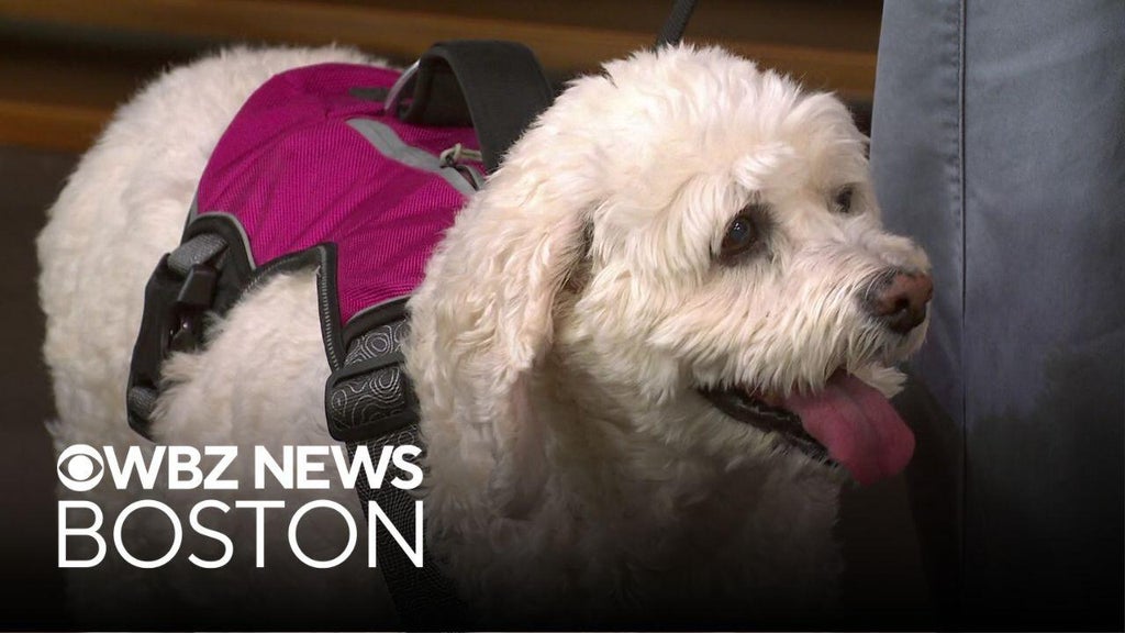Pet Parade: Second Chance Animal Services