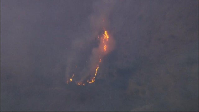 zebra-fire.jpg 