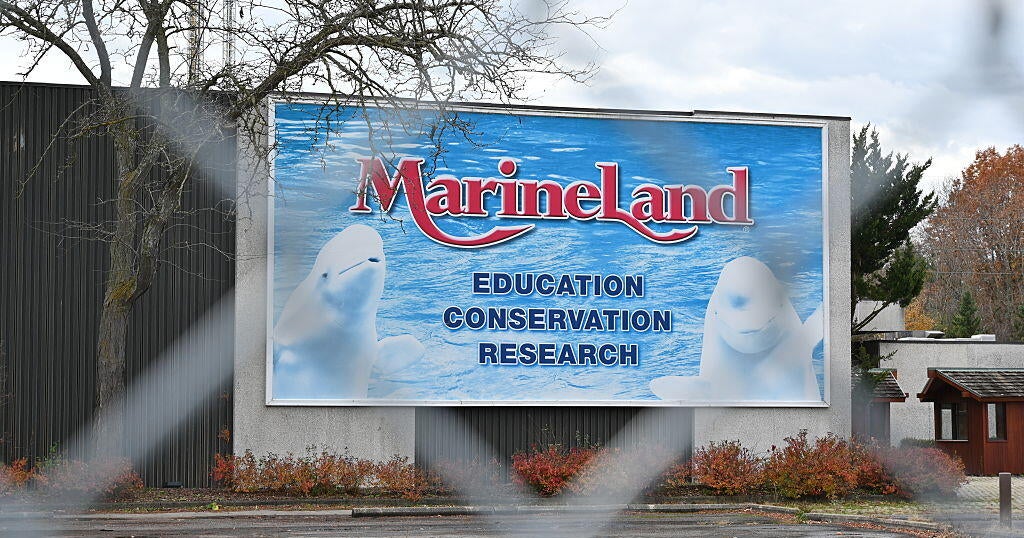 Делфинът Marineland умира в аквариум в Испания при последната смърт след спасяване