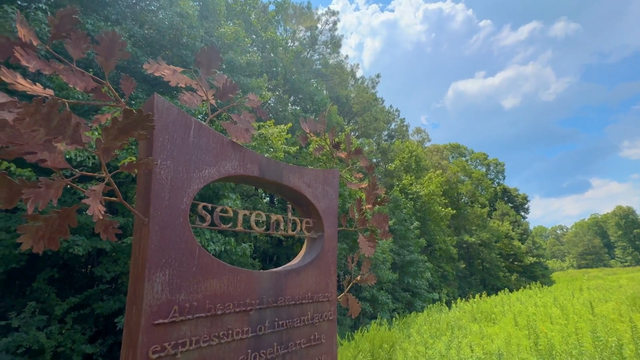 serenbe-3.png 