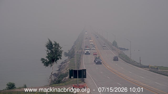 macbridge-image1-medium-10-am.jpg 