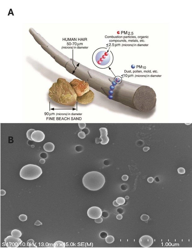 epa-micron-size-courtesy-china-et-al-2013.jpg