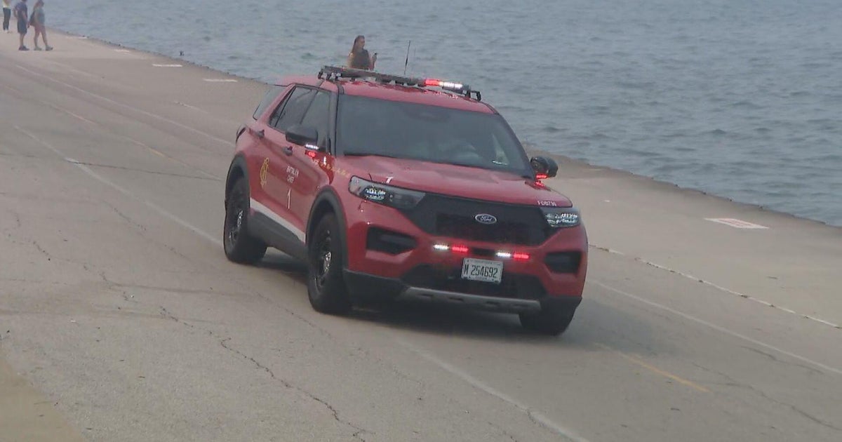 Man pulled from Lake Michigan near Playpen, hospitalized in critical condition
