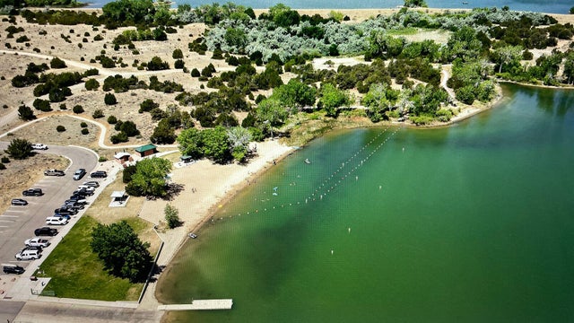 swim-beach.jpg 