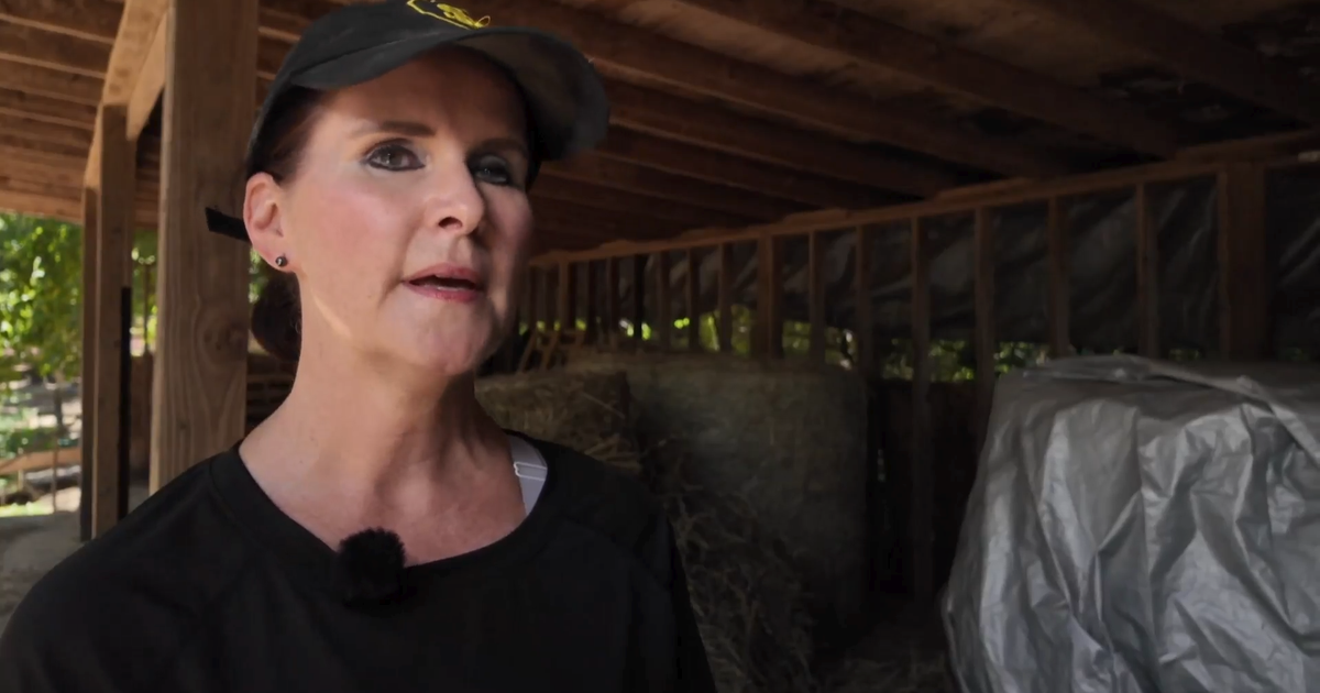 As diesel prices top $5 a gallon again, Georgia farmers brace for higher delivery costs