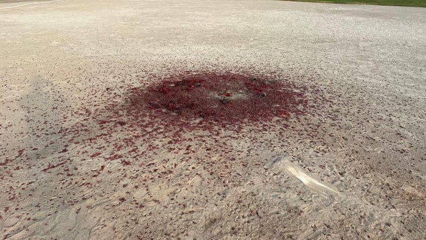 Fireworks leave damage on baseball field in Commerce Township