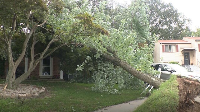 storm-damage.jpg 