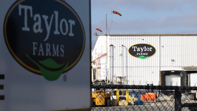 Cyclosporiasis Outbreak Traced To Iceberg Lettuce From Produce Giant Taylor Farms 