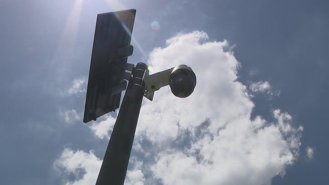 flockcameras.jpg 