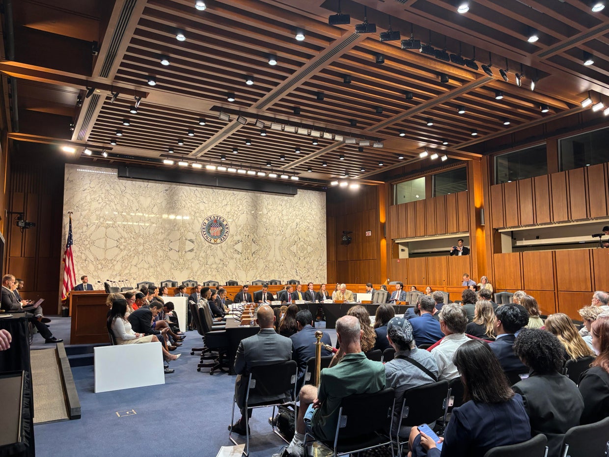 Democratic lawmakers slam Trump "vanity projects" in shadow hearing ...