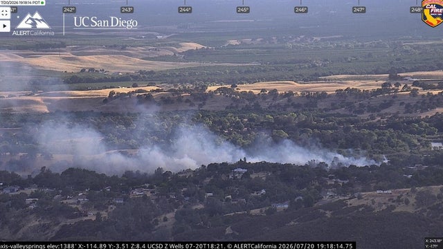 A vegetation fire was burning in Jenny Lind 