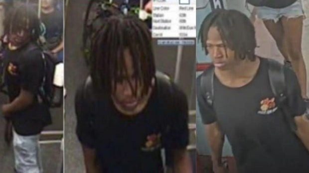 CTA train robbery suspect 69th Street 