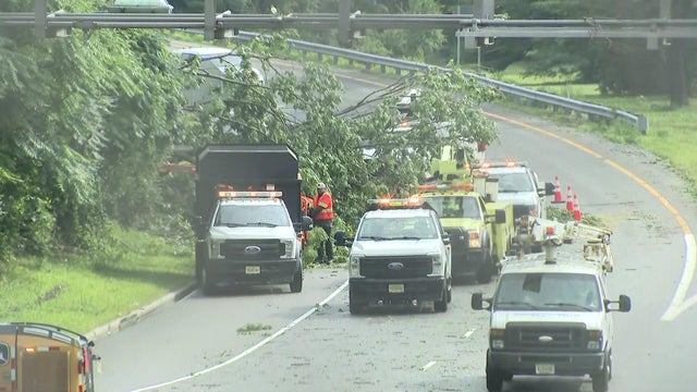 Crews clean up downed trees 