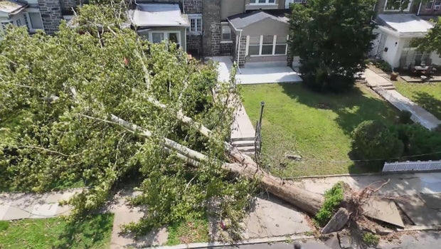 What your insurance may not cover after a storm, and 1 step that could save your claim