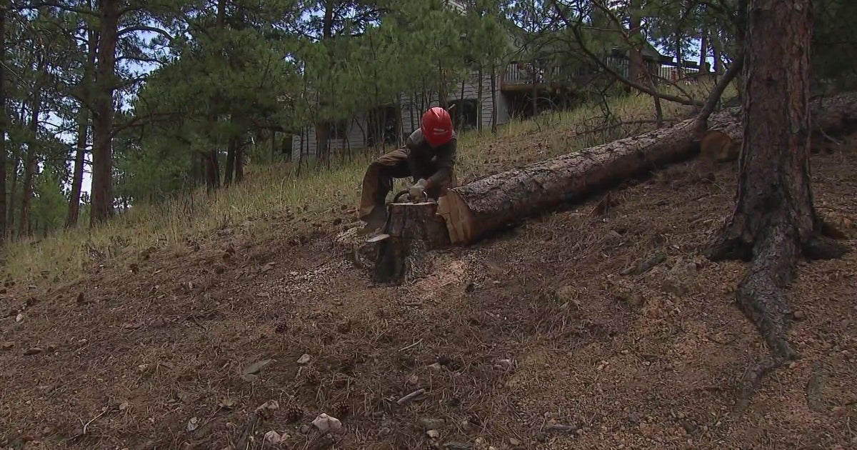Mitigation with yet another purpose: Training future firefighters in Colorado