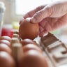 Hand selected Egg in egg box 