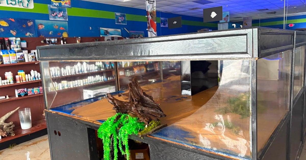 2,000 gallon fish tank bursts at Fox Lake pet store, flooding business; friend s...
