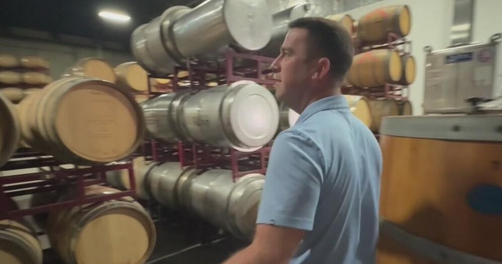 Winery owner feared for home and business as 1000-acre 'Little Fire' spread